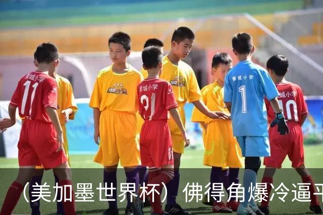 （美加墨世界杯）佛得角爆冷逼平西班牙 比利时埃及握手言和